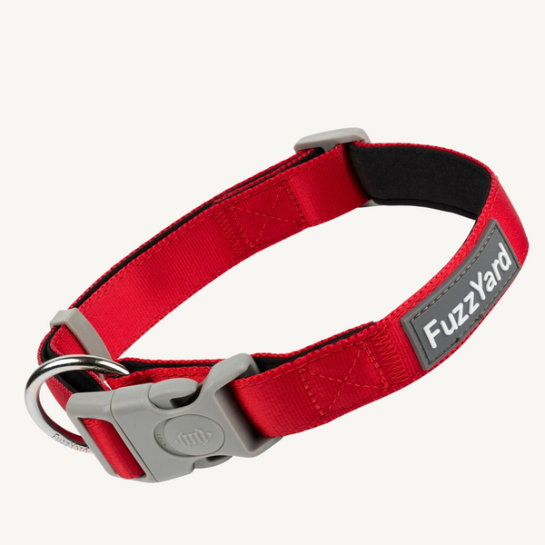 FuzzYard Dog Collar (Rebel)