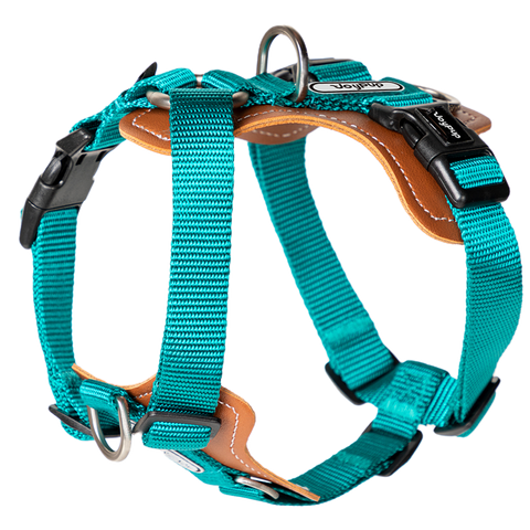 Hey Buddy! Dog Harness Puppy Harness Cat Harness Pistachio Green