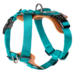 Hey Buddy! Dog Harness Puppy Harness Cat Harness Pistachio Green