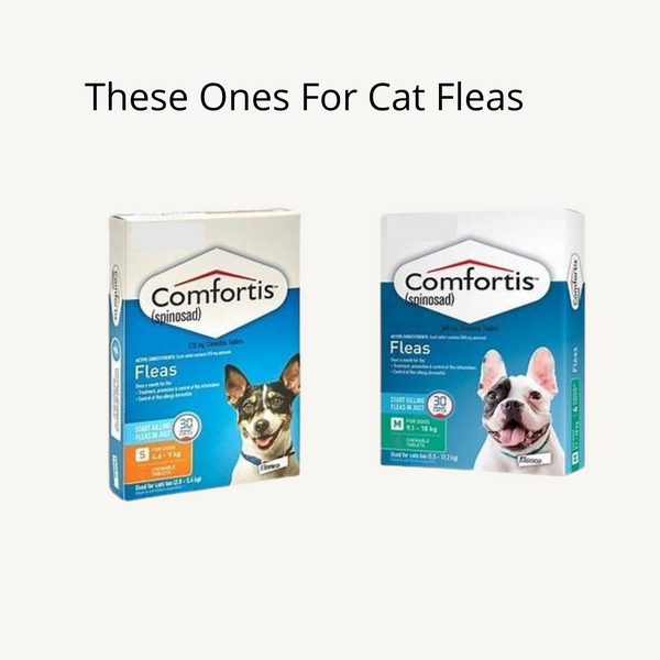 Comfortis Flea Treatment For Dogs | Pets Palace Australia